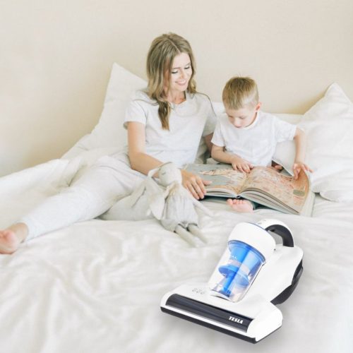 Tesla Lifestar UV550 Akkus Akkus kézi porszívó,vezeték nélküli porszívó