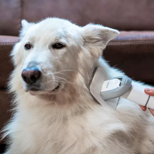 Tesla PetCare Station Pro TQ500 Kisállat ápoló